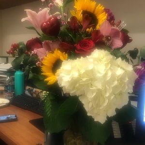 Meet your Posher, Robyn